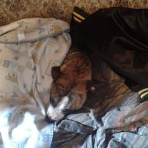 Meet your Posher, Jack